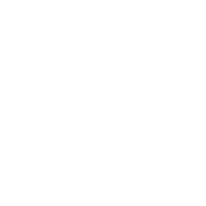 Icon 3D-Druck