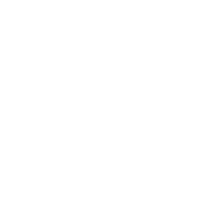 Icon Digitale Zahntechnik