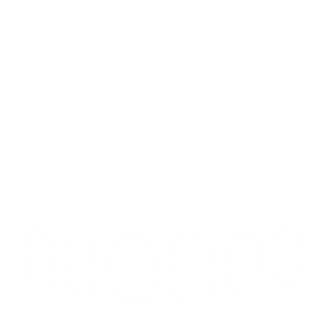 Icon Schienen und KFO-Aligner