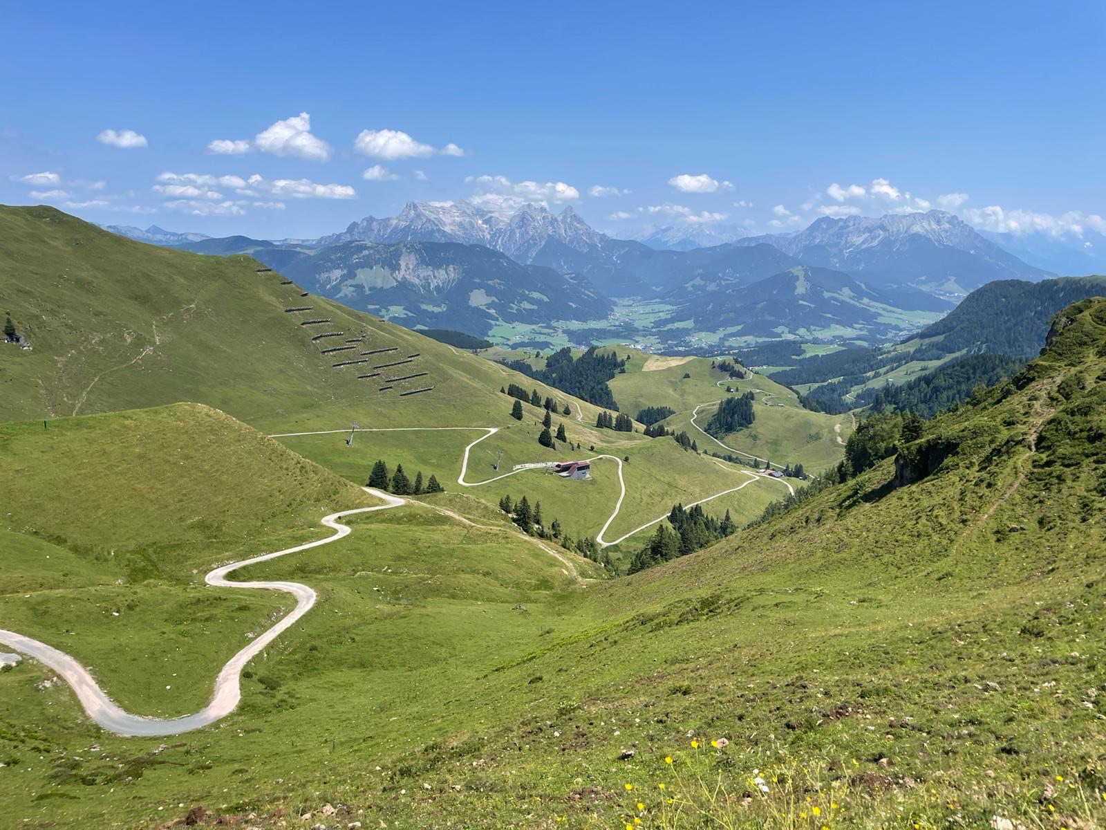 Laboreindrücke, Umgebung St. Johann im Sommer, Kargl Dent
